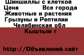 Шиншиллы с клеткой › Цена ­ 8 000 - Все города Животные и растения » Грызуны и Рептилии   . Челябинская обл.,Кыштым г.